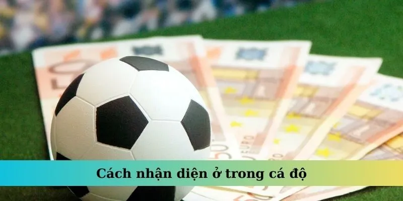 Kèo Dụ – Yếu Tố Quan Trọng Giúp Bạn Thành Thạo Cá Độ 3 Cách nhận diện ở trong cá độ