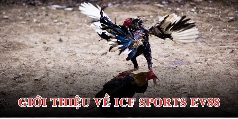 Review Tất Tần Tật Về ICF Sports EV88 Năm 2025 2 Tổng quan về sảnh ICF Sports EV88